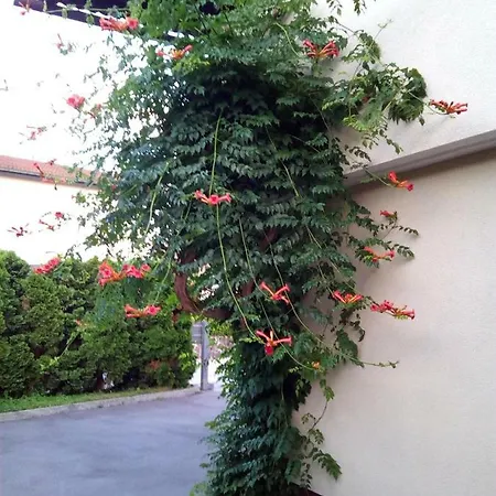 Apartment Bbq Ljubljana